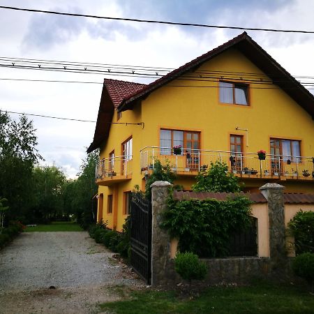 Pensiunea Ramona Carpinisu Exterior photo