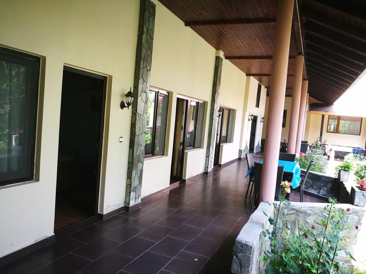 Pensiunea Ramona Carpinisu Exterior photo