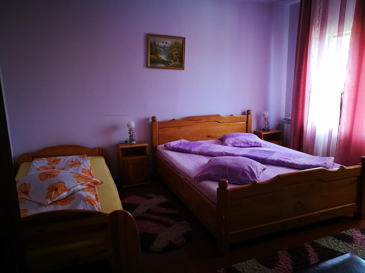 Pensiunea Ramona Carpinisu Exterior photo