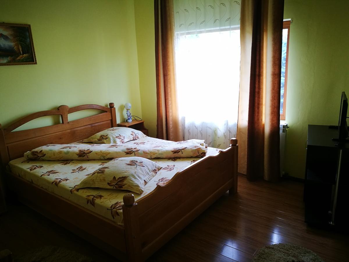 Pensiunea Ramona Carpinisu Exterior photo