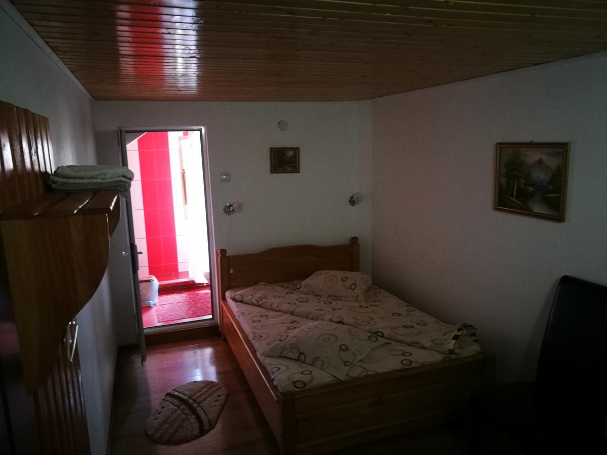 Pensiunea Ramona Carpinisu Exterior photo