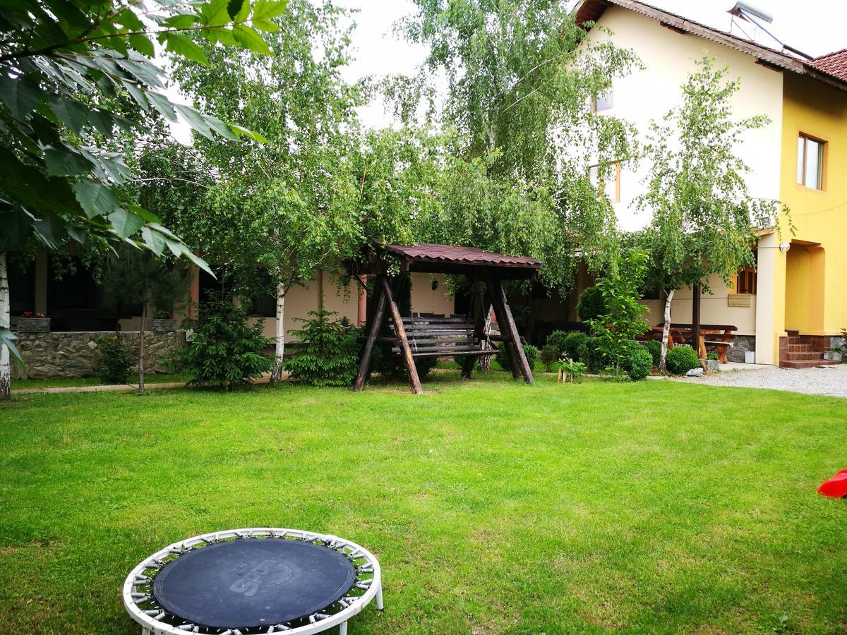 Pensiunea Ramona Carpinisu Exterior photo