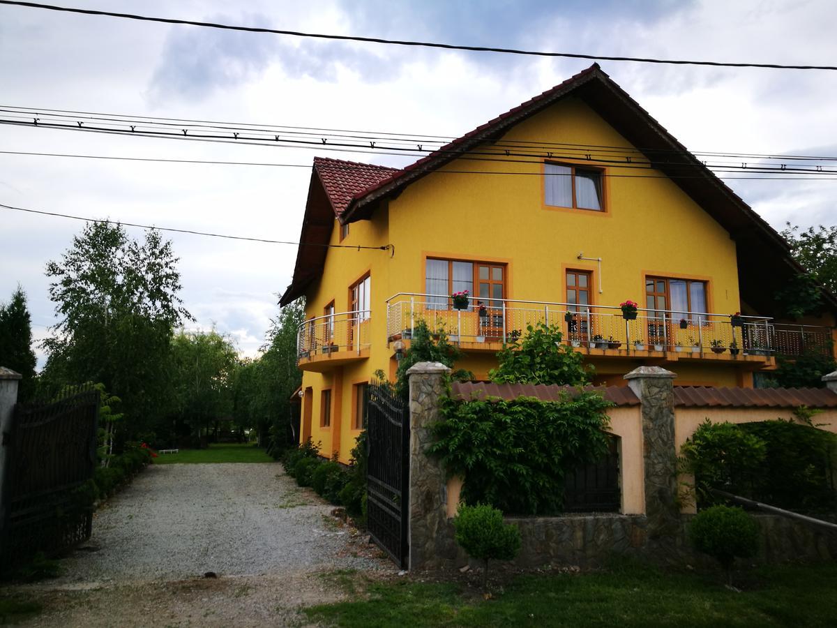 Pensiunea Ramona Carpinisu Exterior photo