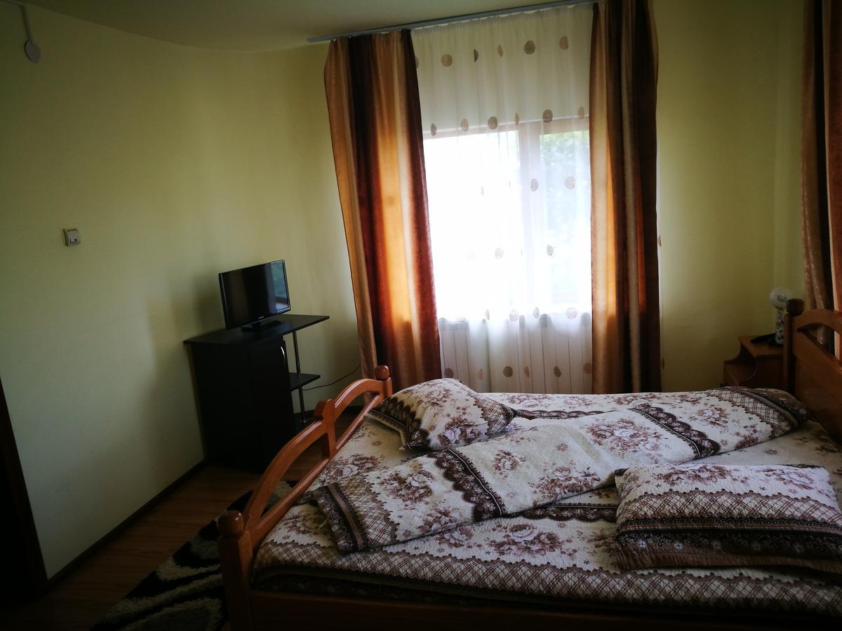 Pensiunea Ramona Carpinisu Exterior photo