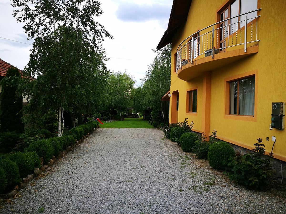 Pensiunea Ramona Carpinisu Exterior photo