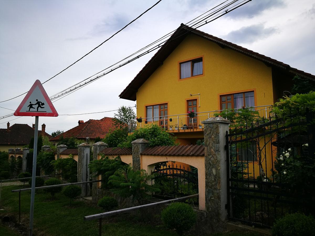 Pensiunea Ramona Carpinisu Exterior photo
